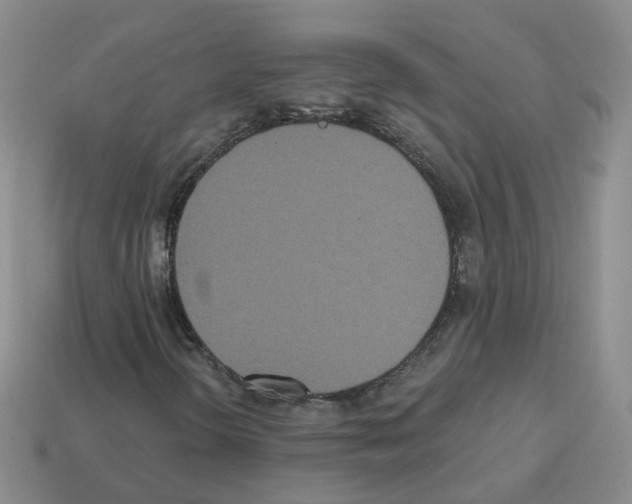 X0000112821298200910021153