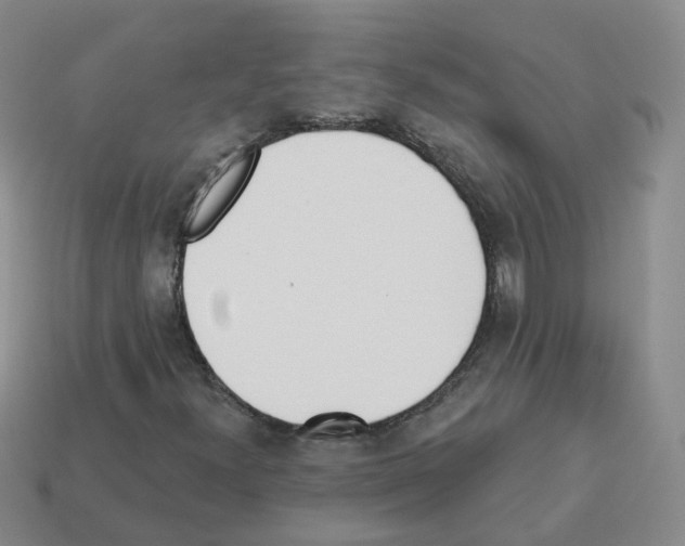 X0000112821300200910021153