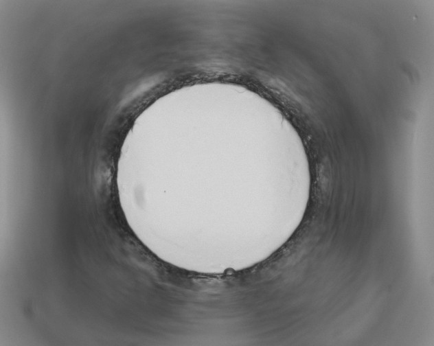 X0000112821302200910021153