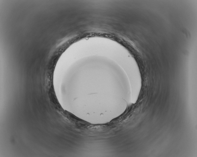 X0000112821303200910021153