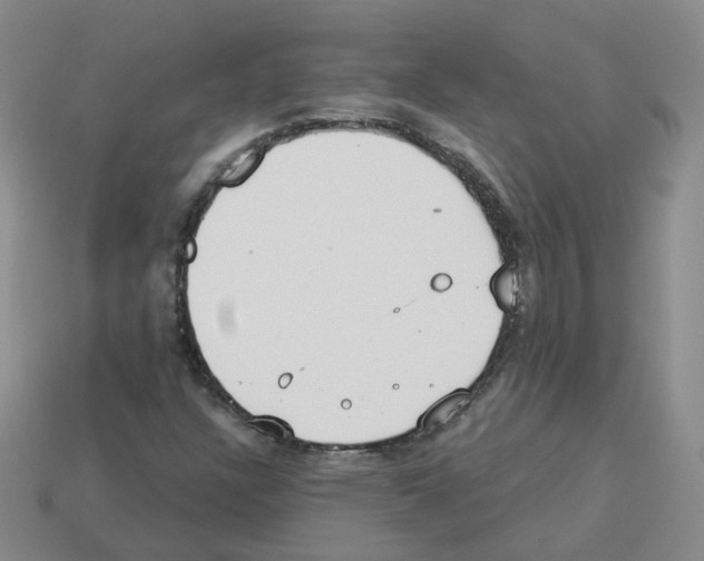 X0000112821304200910021153