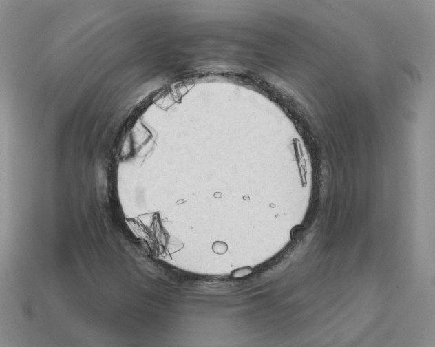 X0000112821305200910021153