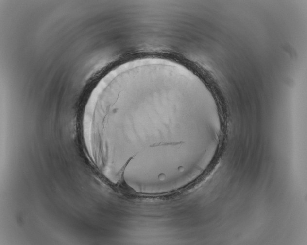 X0000112821306200910021153