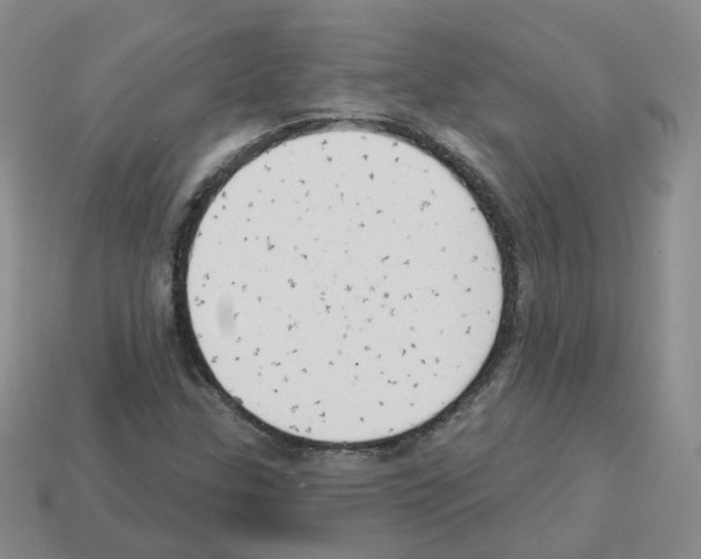 X0000112821307200910021153