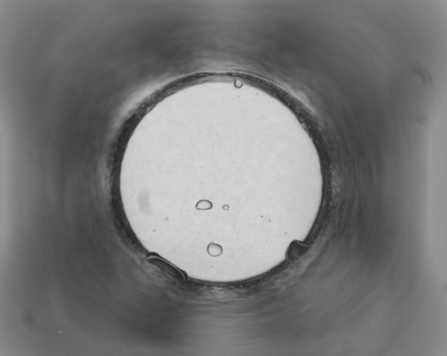 X0000112821311200910021153