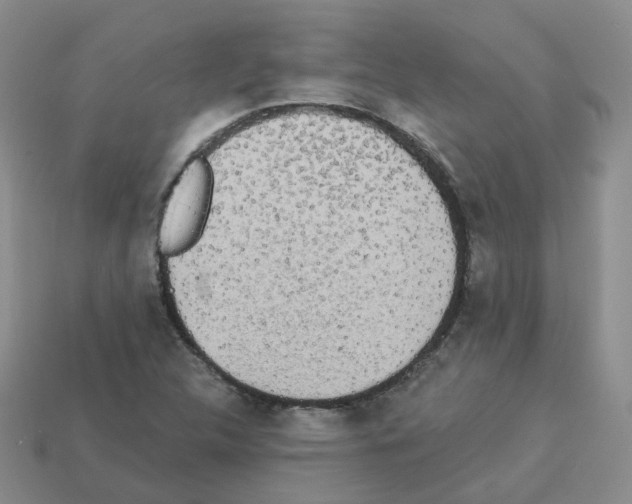 X0000112821312200910021153