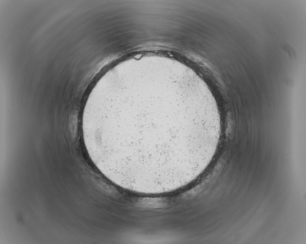 X0000112821313200910021153