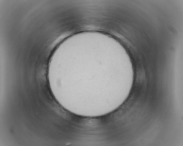 X0000112821314200910021153