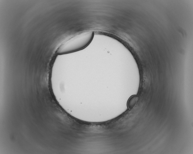 X0000112821316200910021153