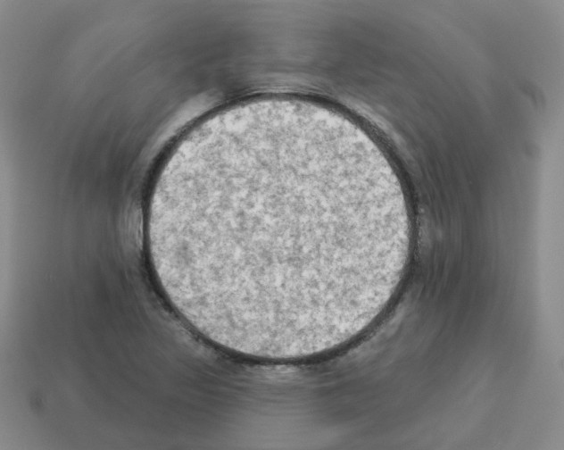 X0000112821317200910021153