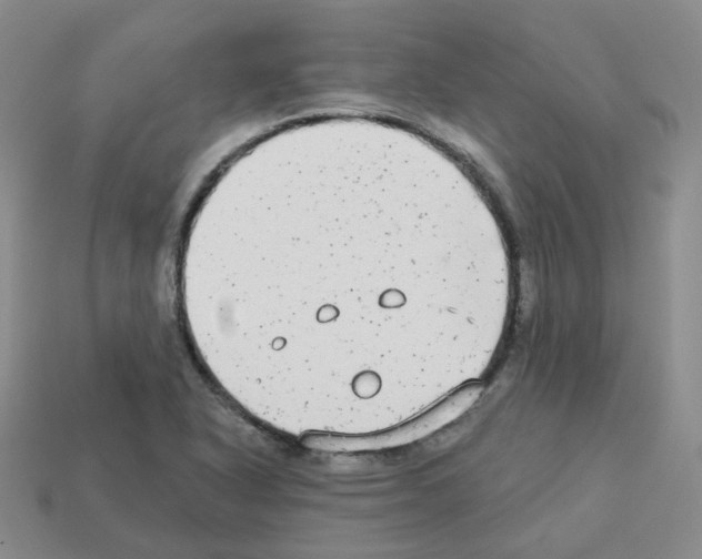 X0000112821318200910021153