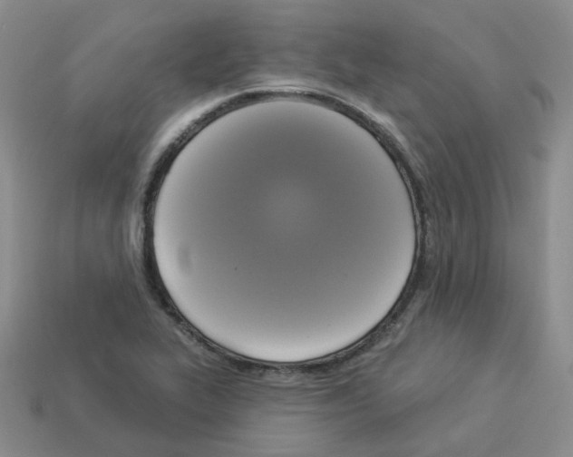 X0000112821319200910021153