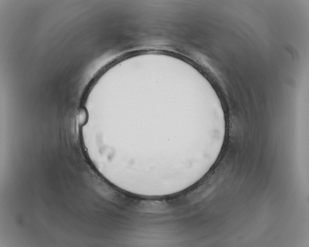 X0000112821320200910021153