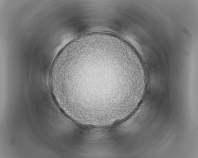 X0000112821322200910021153