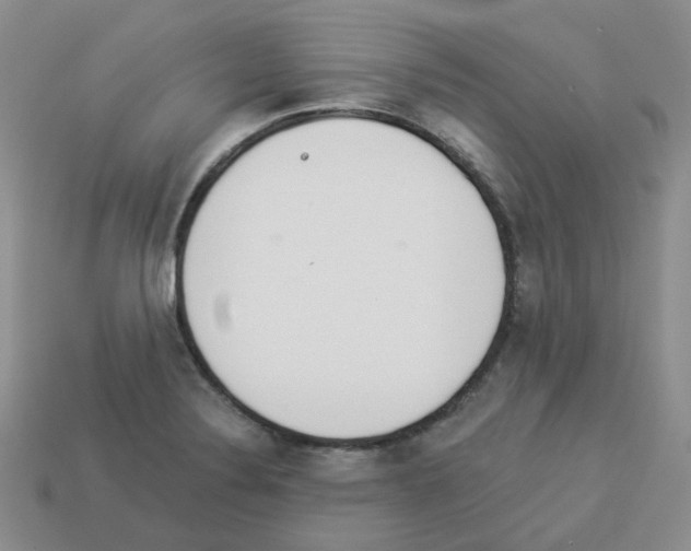 X0000112821324200910021153