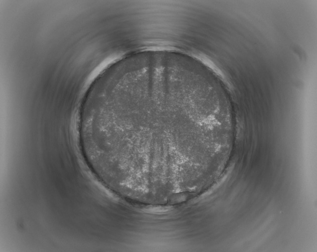 X0000112821325200910021153