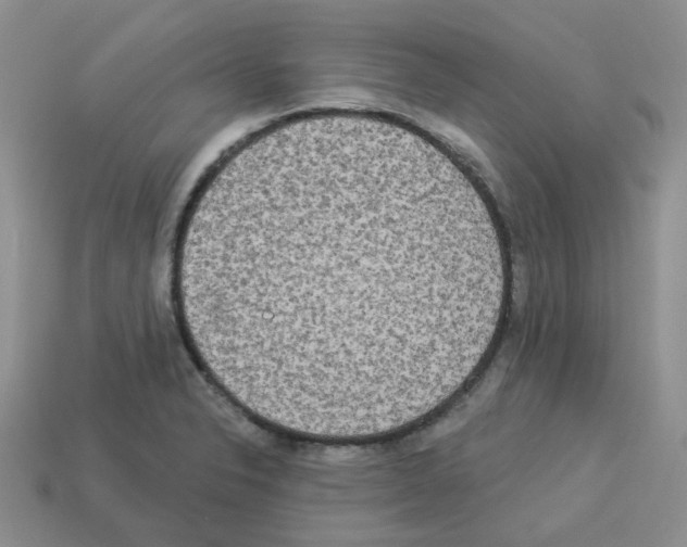 X0000112821326200910021153