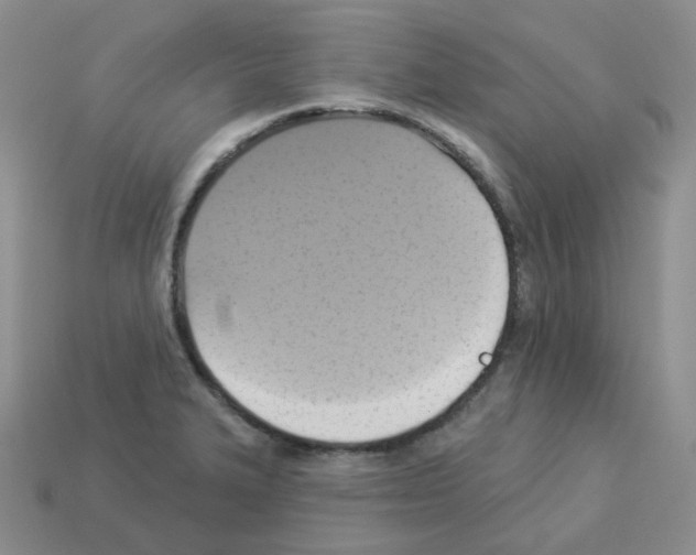 X0000112821327200910021153