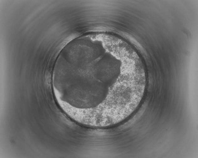 X0000112821329200910021153