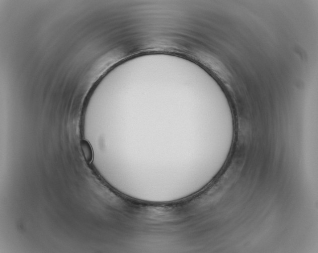 X0000112821330200910021153