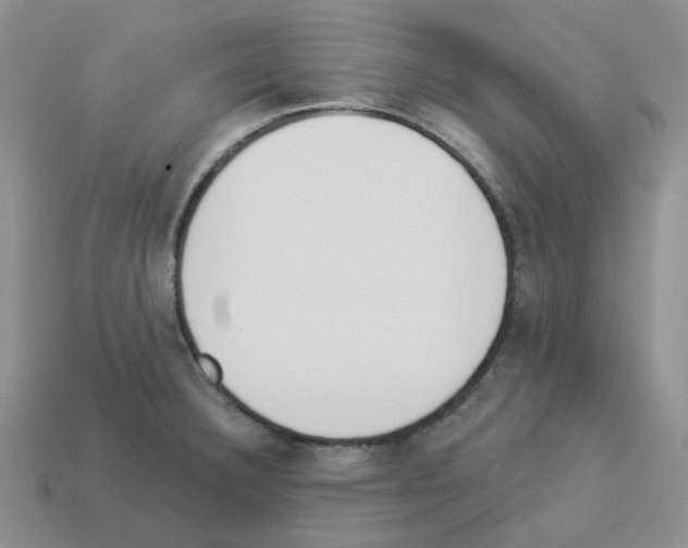 X0000112821332200910021153