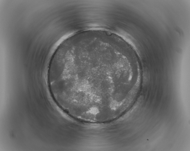 X0000112821333200910021153