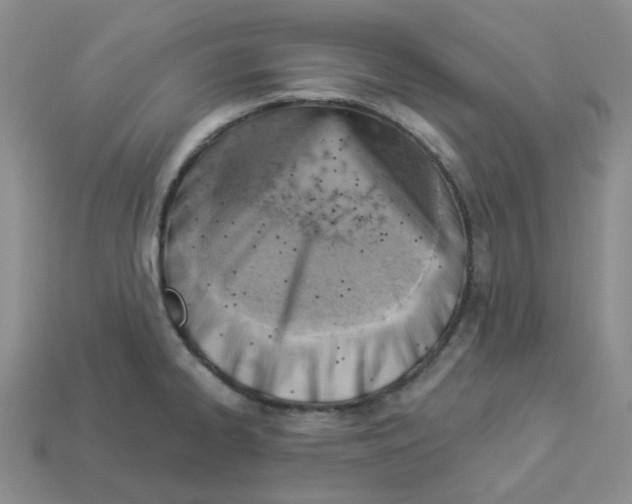 X0000112821334200910021153