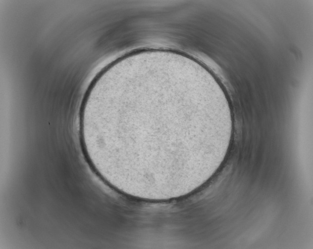 X0000112821335200910021153