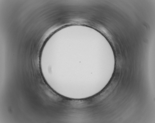 X0000112821336200910021153