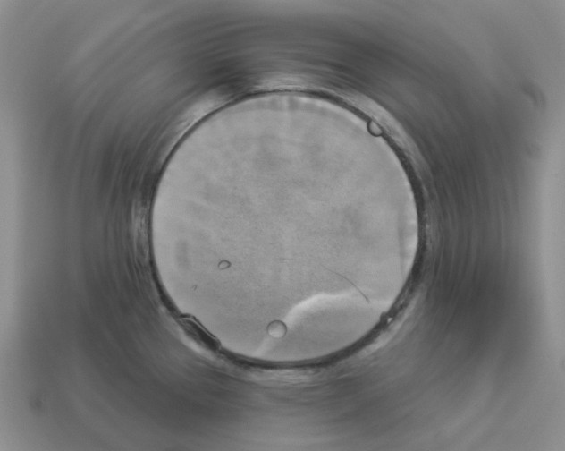 X0000112821337200910021153