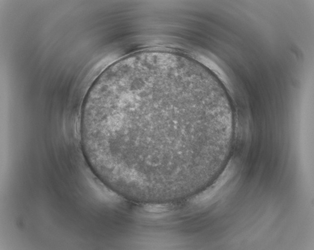 X0000112821338200910021153