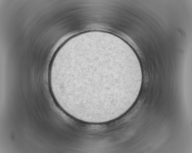 X0000112821339200910021153