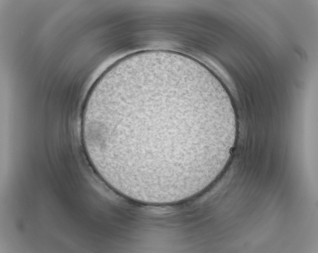 X0000112821340200910021153