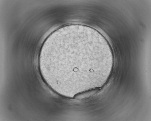 X0000112821341200910021153