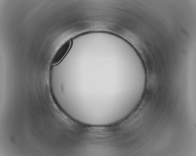 X0000112821342200910021153