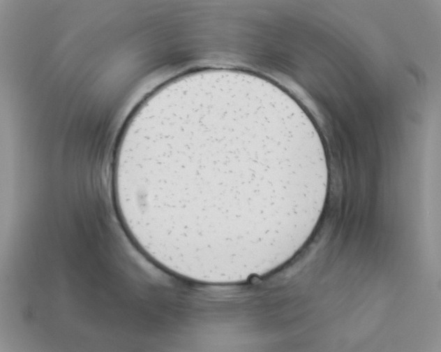 X0000112821343200910021153