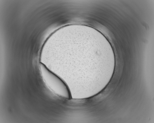 X0000112821344200910021154