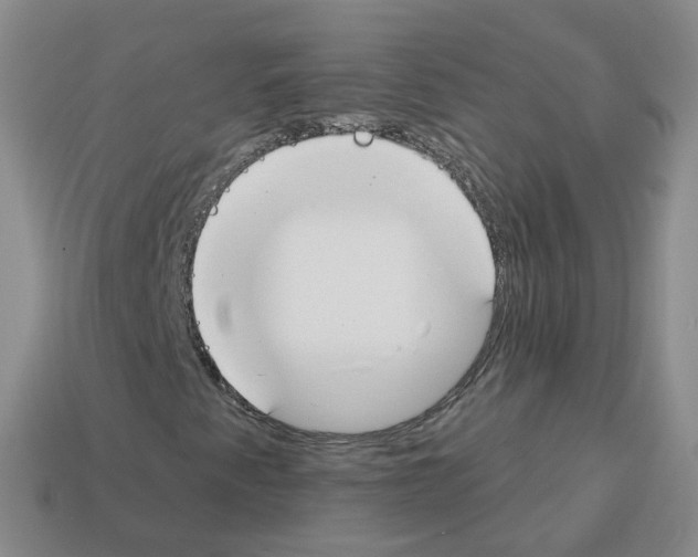 X0000112821345200910021153