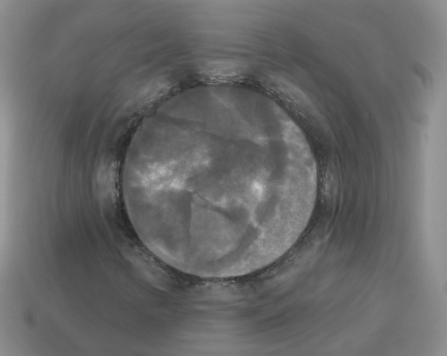 X0000112821346200910021153