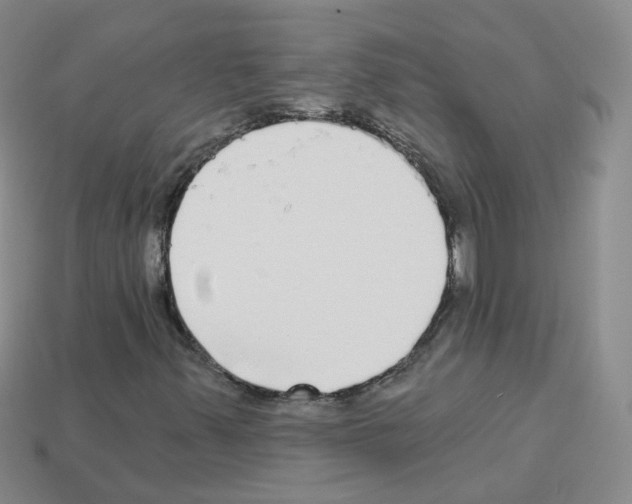 X0000112821347200910021153