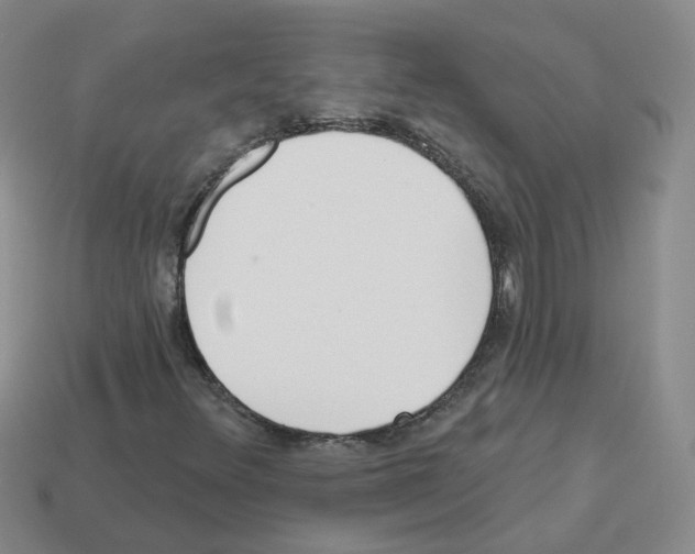 X0000112821348200910021153