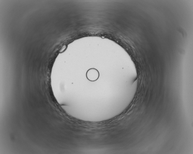 X0000112821349200910021153