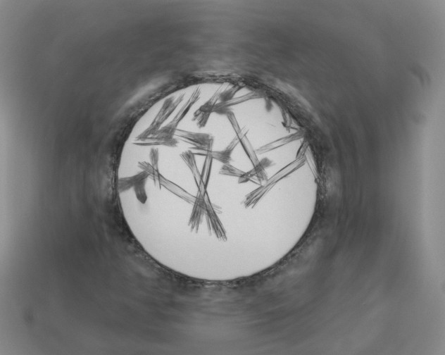 X0000112821350200910021153