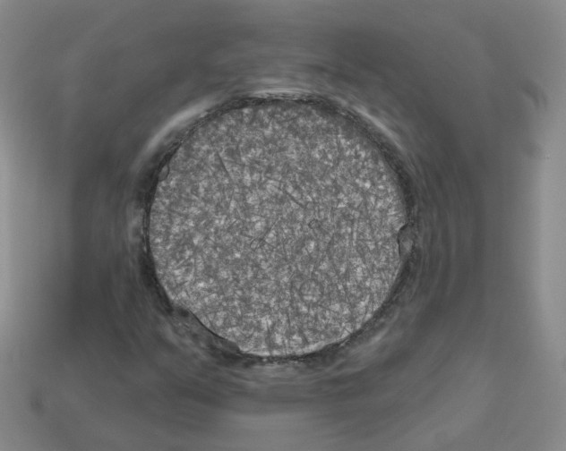 X0000112821351200910021153