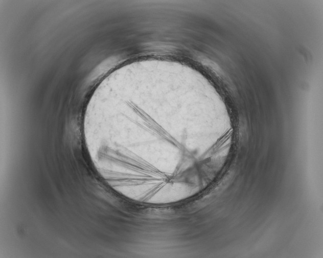 X0000112821354200910021153