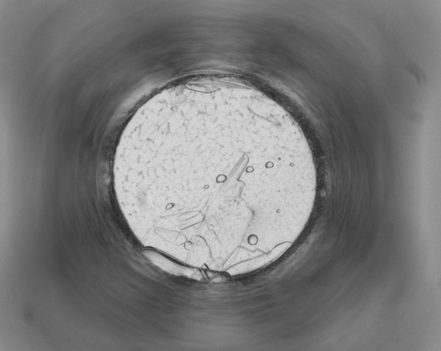 X0000112821355200910021153