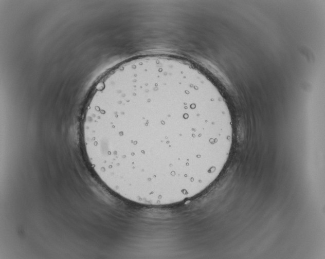 X0000112821356200910021153