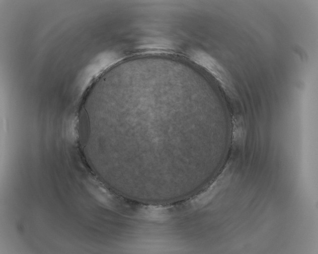 X0000112821357200910021153