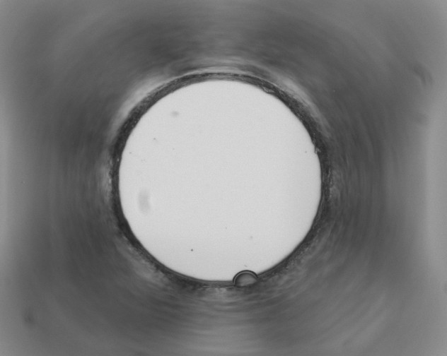 X0000112821360200910021153