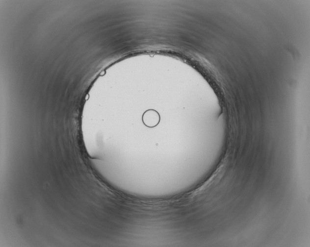 X0000112821361200910021153